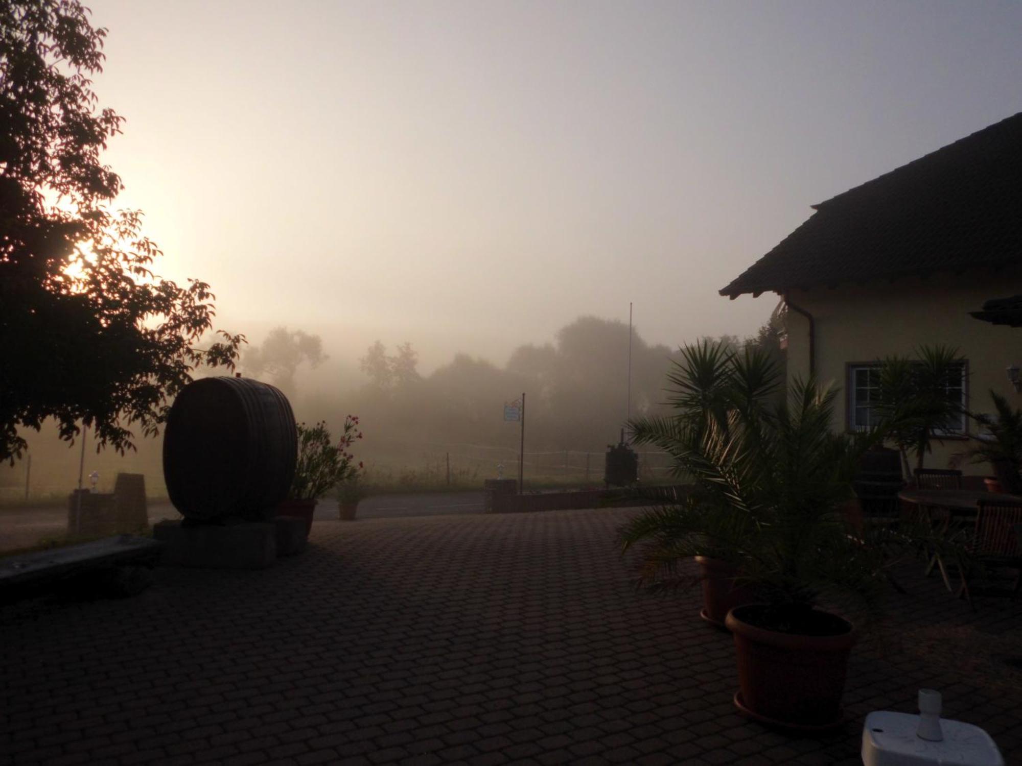 Weingut Hans Bausch Apartamento Hattenheim Exterior foto