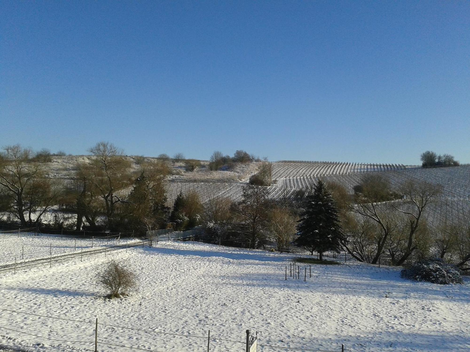 Weingut Hans Bausch Apartamento Hattenheim Exterior foto